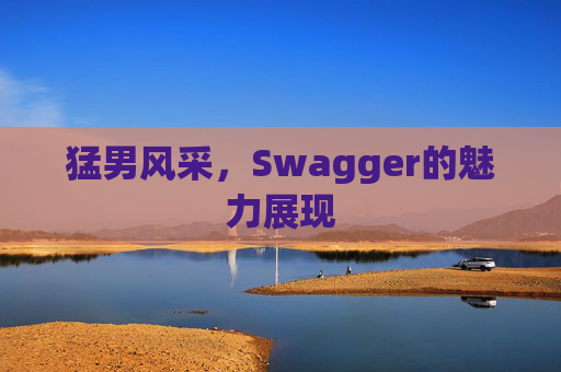 猛男风采，Swagger的魅力展现